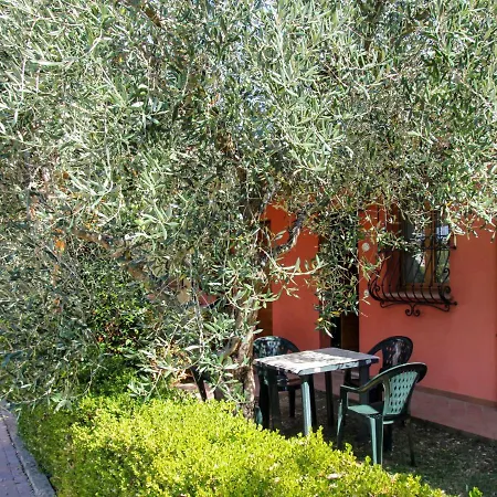 Locazione Turistica Mimosa - Fnm203 *